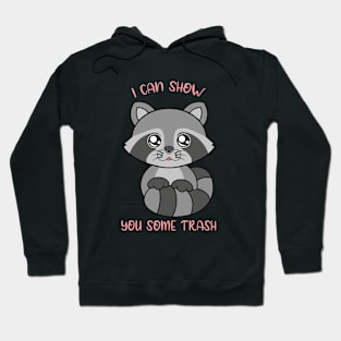 I can show some trash, cute raccoon. Hoodie